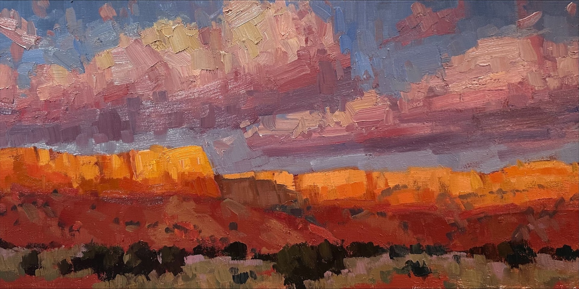Under Pink Clouds - 12x24